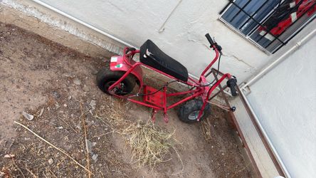 Mini bike roller