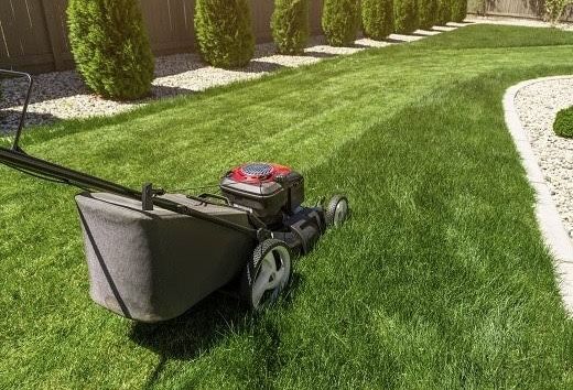 L@wn  Ma!ntEnance Lawn Mower 