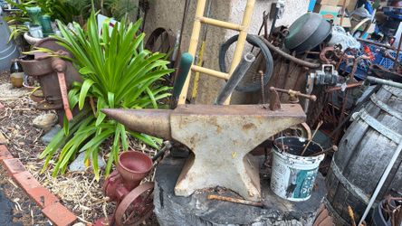 Anvil 300lb 100 y/o