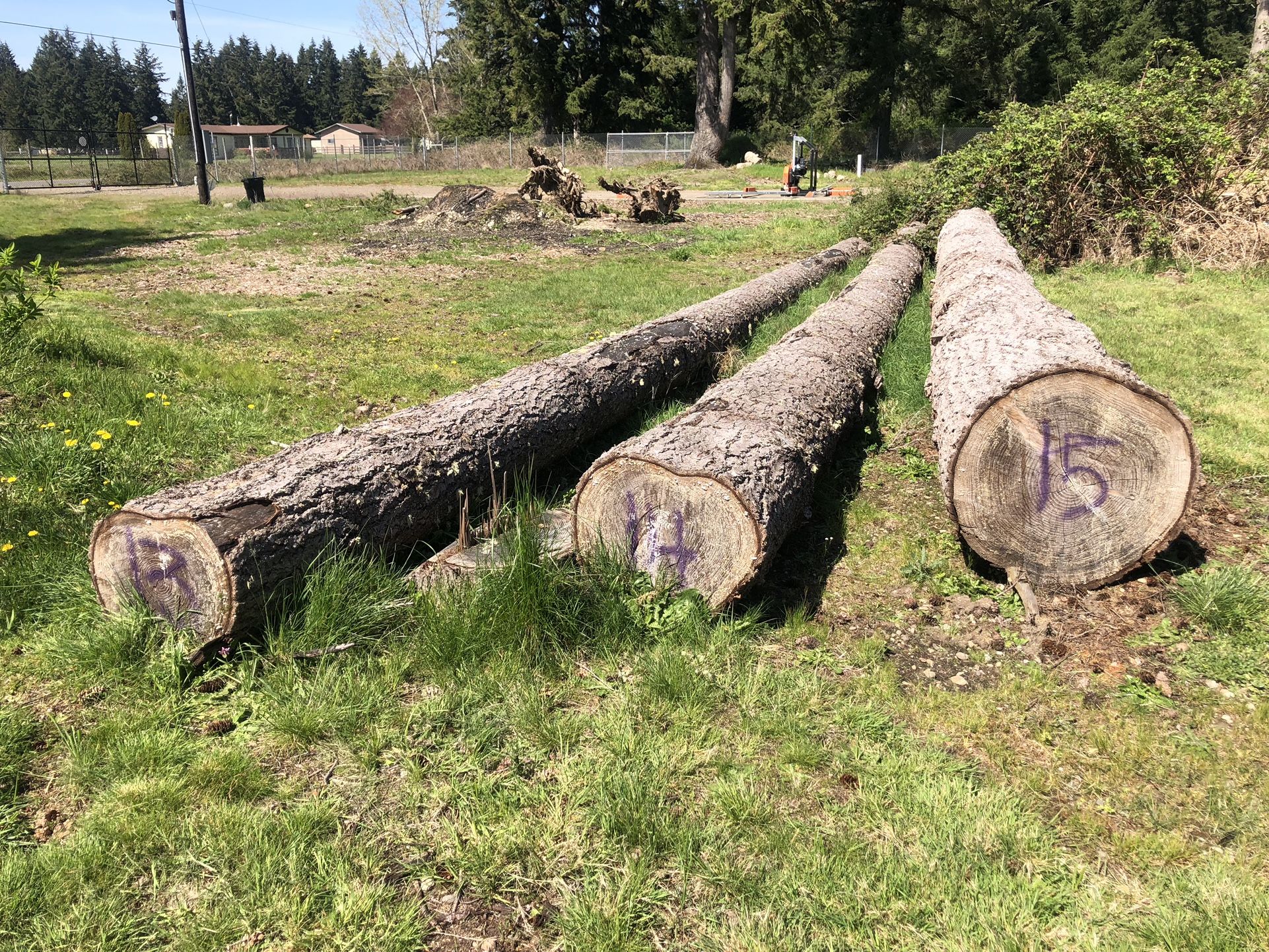 Fire Wood
