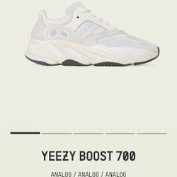 Yeezy Boost 700