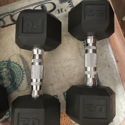 20 Lb Dumbells