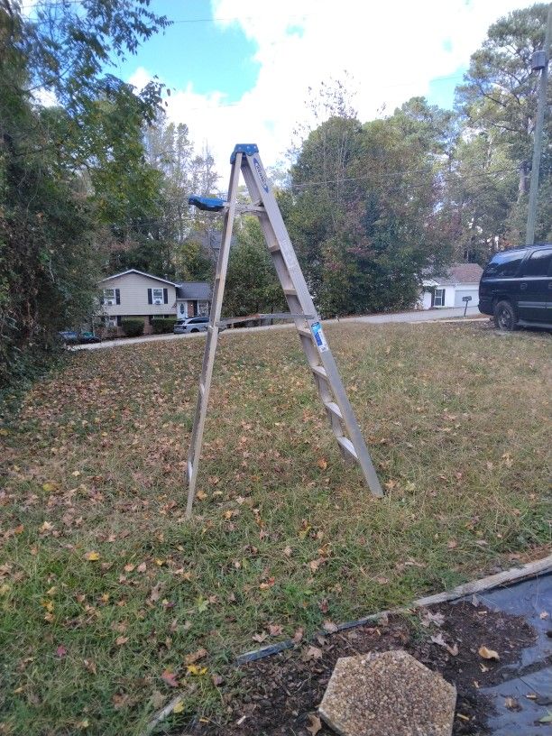 Werner 8 Ft Ladder