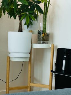 IKEA’s SATSUMAS Plant Stand
