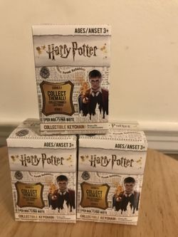 Harry Potter Key Chain