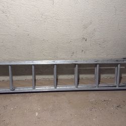 Amazing Ladder Only $20