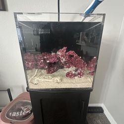 Fish Tank And Supplies 