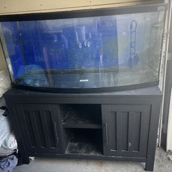 90g Fish Tank