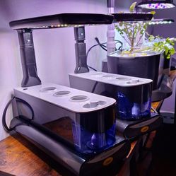 Two AeroGarden Sprout Units