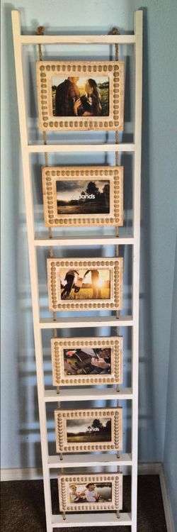 Kirkland Leaning 6 Opening Photo Ladder