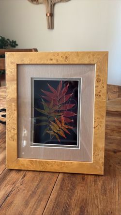 Leaf Lines Booker Morey Shadowbox Picture