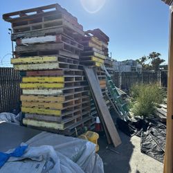 Wood Pallets 