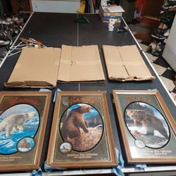 Hamms Bear Mirrored Signs