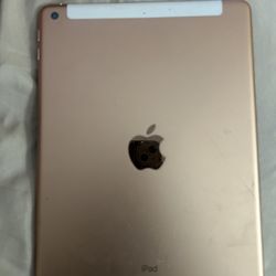Broken iPad 