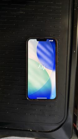 iPhone 13 max pro