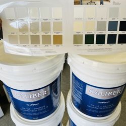 Paint + Primer Great Quality Paints Save Instantly 🎉🎉