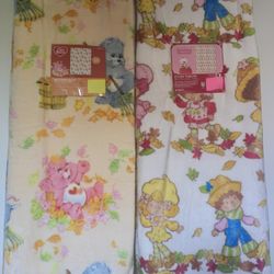 💖 Care Bears And Strawberry Shortcake Blanket 💖