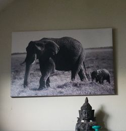 Elephant Canvas