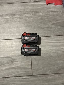 Milwaukee 5.0 battery 2 pack
