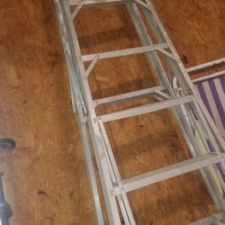 Werner Aluminum 10' Step Ladder