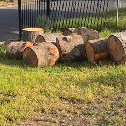 Douglas Fir Rounds