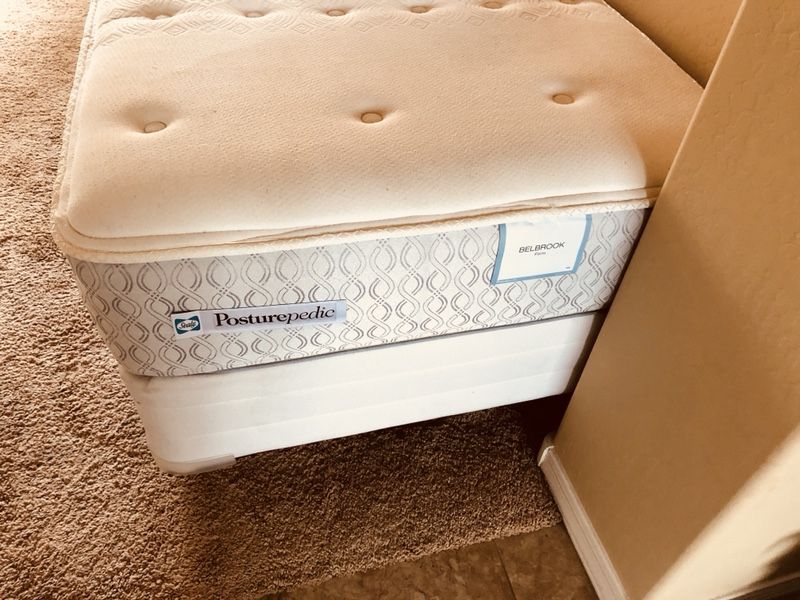 Sealy posturepedic belbrook firm online