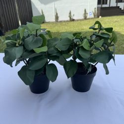$12 For 2 Artificial Potted Plants
