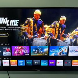Vizio 55 in 4K TV
