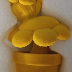 Gnomes In Wonderland 