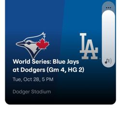 1 Tickect Game 4  Oct, 28 2025 Tursday @ 5:10 Pm