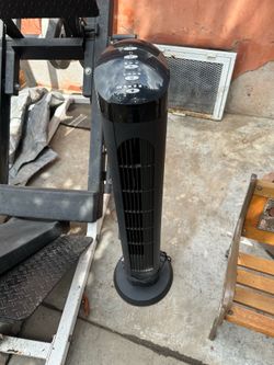 Fan