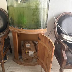 Fish Tank 