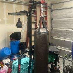 Everlast UFC Boxing Bag And Stand 
