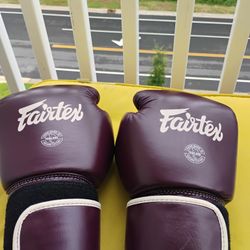 Fairtex Boxing Gloves 