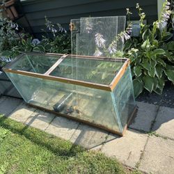 40 Gallon Fish Tank