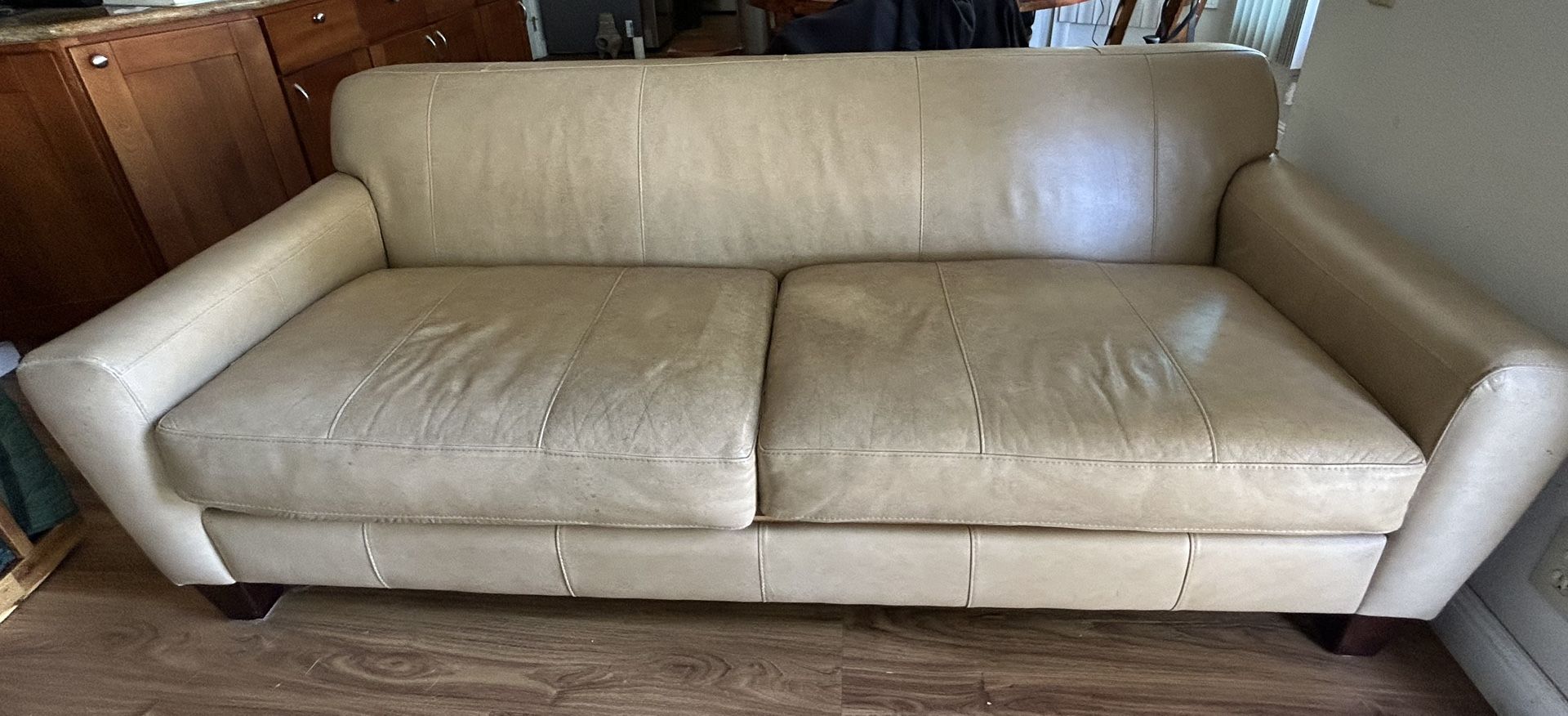 Genuine Leather Couch