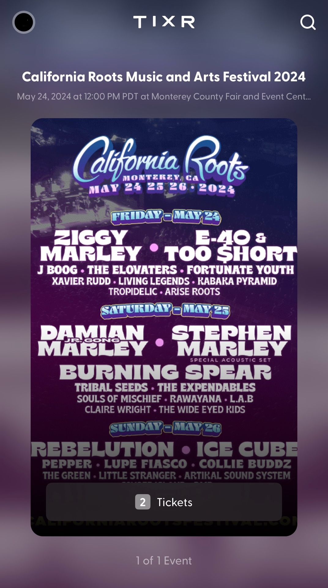 2 VIP CaliRoots Music Festival