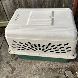 Dog Kennel 