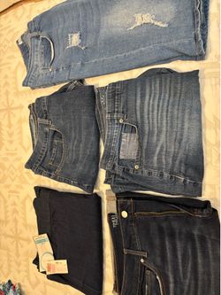 5 Pairs of Ladies Shorts ( see description)