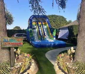 Inflatable Double Water Slide