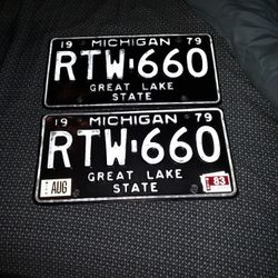 Amazing Condition 1979 Michigan License Plate RTW-660