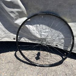 29” Rear Wheel 10x141