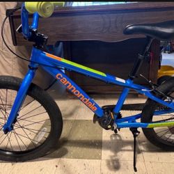 Cannondale bike 20” tire