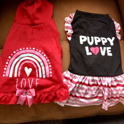Dog Valentines Outfits