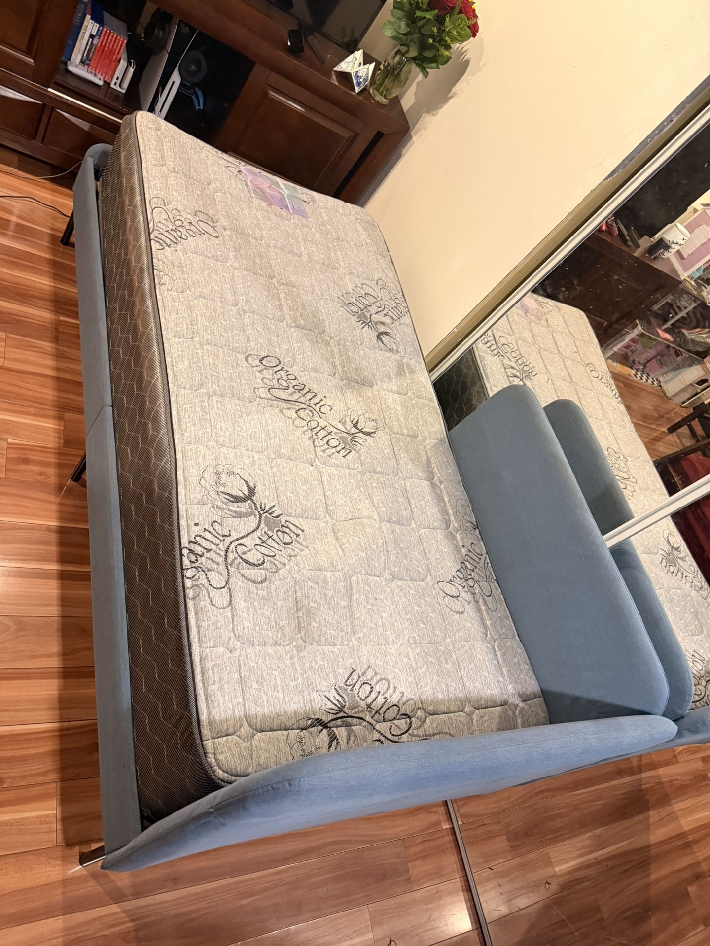 Sofa Bed
