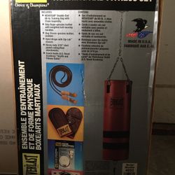 Everlast 60lb Boxing/Martial Arts Punching Bag Set