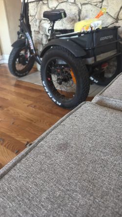 Addmotor Electric Tricycle Fat Tire Cargo Trike
