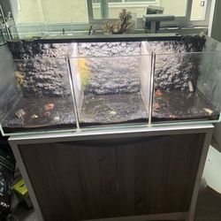Aquarium ,fish Tank,pecera 