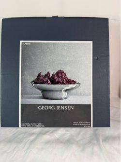 NEW Georg Jensen Alfredo Stainless Steel Salad Bowl 11” 280mm by Alfredo Häberli w