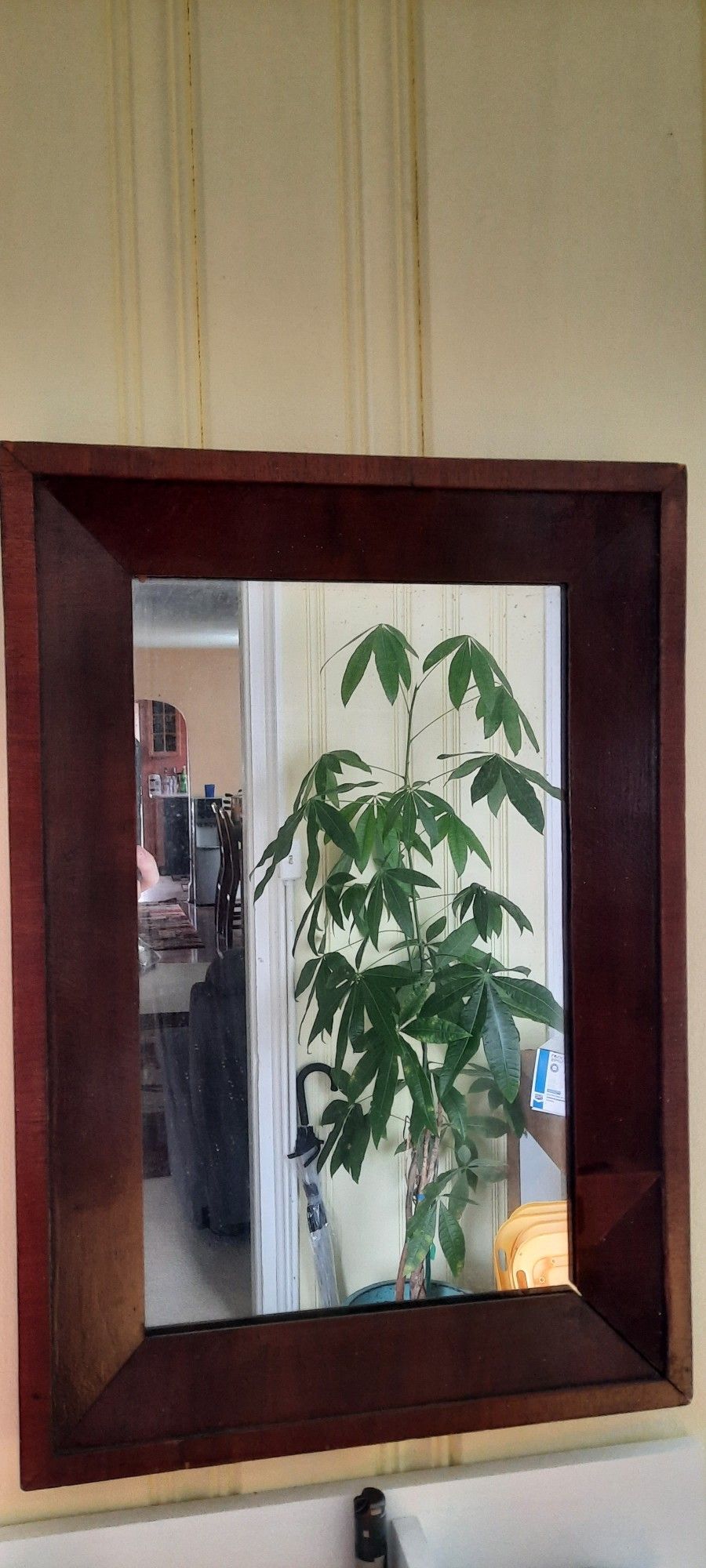 Civil War Era Antique Mirror